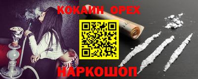 ешки Кингисепп