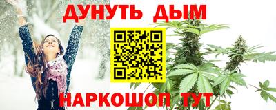 ешки Кингисепп