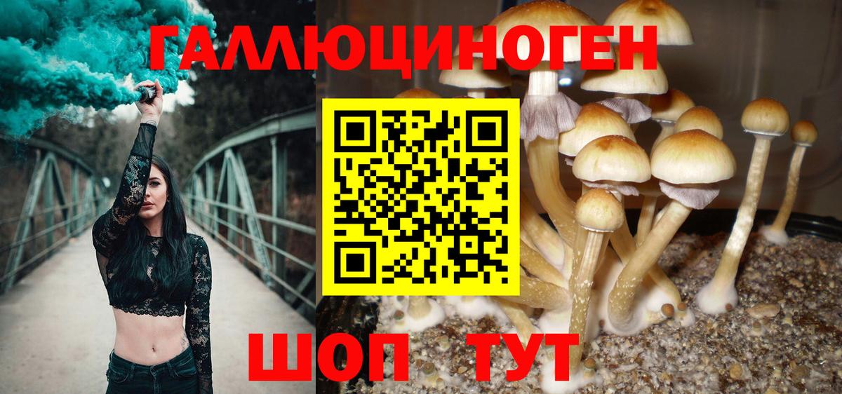 Ялта  Галлюциногенные грибы MAGIC MUSHROOMS  Вход с VPN 
